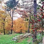 Mountain View Watermill - Bucigna Cigliano (Florence)