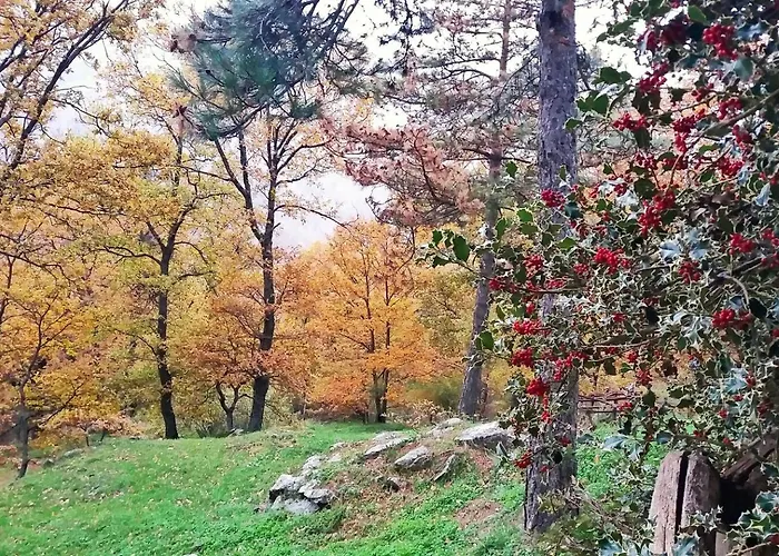 Mountain View Watermill - Bucigna Cigliano